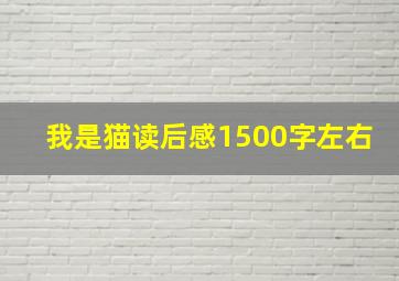 我是猫读后感1500字左右