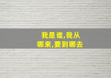 我是谁,我从哪来,要到哪去