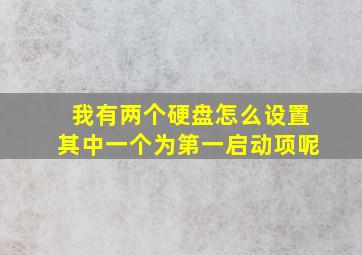 我有两个硬盘怎么设置其中一个为第一启动项呢