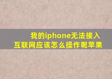 我的iphone无法接入互联网应该怎么操作呢苹果