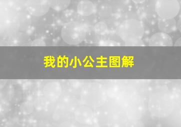 我的小公主图解