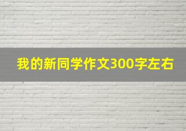 我的新同学作文300字左右