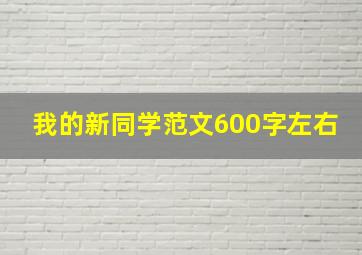 我的新同学范文600字左右