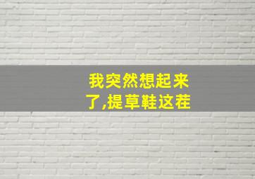 我突然想起来了,提草鞋这茬