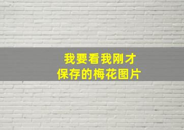 我要看我刚才保存的梅花图片