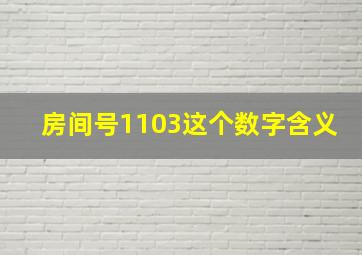 房间号1103这个数字含义