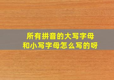 所有拼音的大写字母和小写字母怎么写的呀