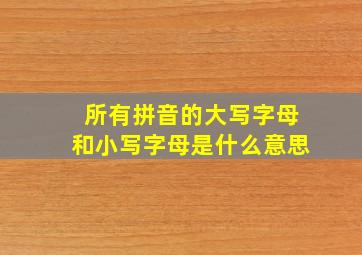 所有拼音的大写字母和小写字母是什么意思