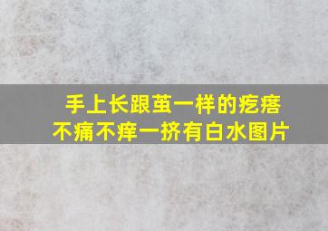 手上长跟茧一样的疙瘩不痛不痒一挤有白水图片