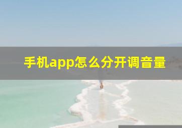 手机app怎么分开调音量