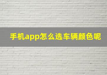 手机app怎么选车辆颜色呢