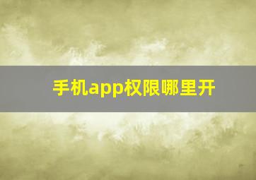 手机app权限哪里开