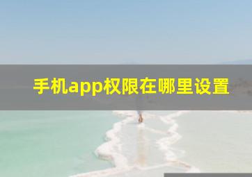 手机app权限在哪里设置