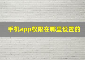 手机app权限在哪里设置的