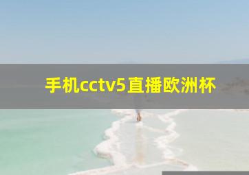 手机cctv5直播欧洲杯