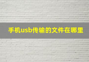 手机usb传输的文件在哪里