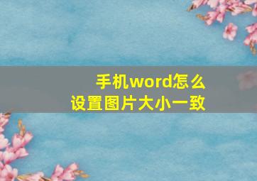 手机word怎么设置图片大小一致