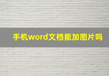 手机word文档能加图片吗