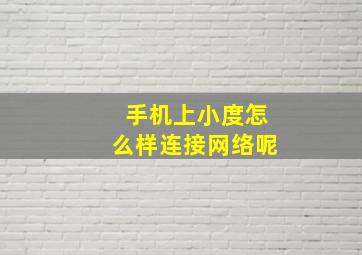 手机上小度怎么样连接网络呢