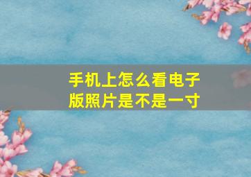 手机上怎么看电子版照片是不是一寸