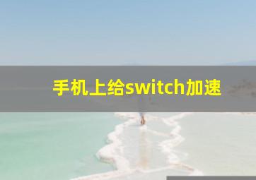 手机上给switch加速