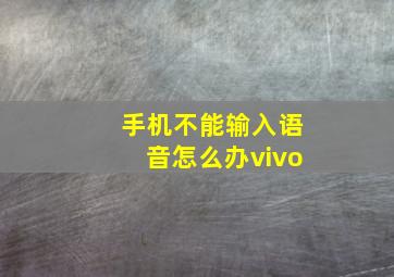 手机不能输入语音怎么办vivo