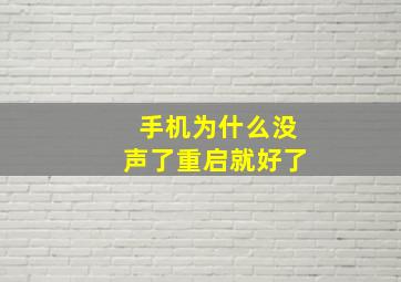 手机为什么没声了重启就好了