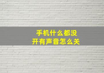 手机什么都没开有声音怎么关