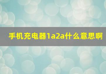 手机充电器1a2a什么意思啊