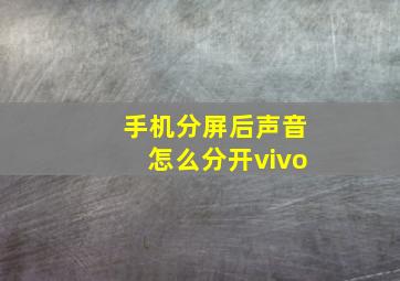 手机分屏后声音怎么分开vivo