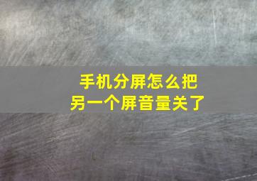 手机分屏怎么把另一个屏音量关了