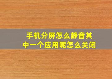 手机分屏怎么静音其中一个应用呢怎么关闭