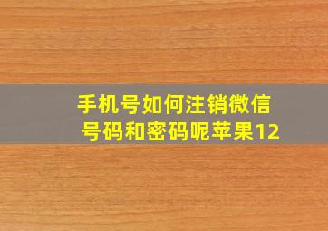 手机号如何注销微信号码和密码呢苹果12