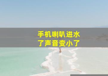 手机喇叭进水了声音变小了