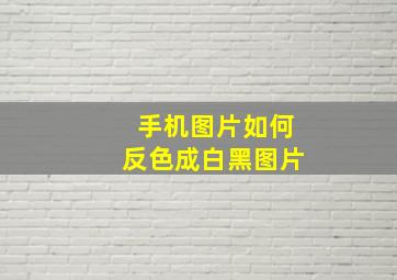 手机图片如何反色成白黑图片