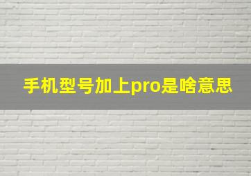 手机型号加上pro是啥意思