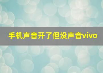 手机声音开了但没声音vivo