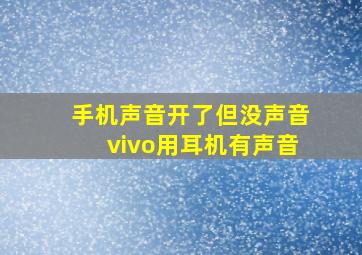 手机声音开了但没声音vivo用耳机有声音