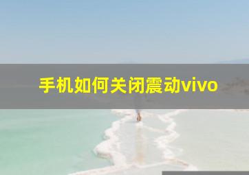 手机如何关闭震动vivo