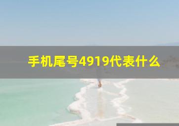 手机尾号4919代表什么