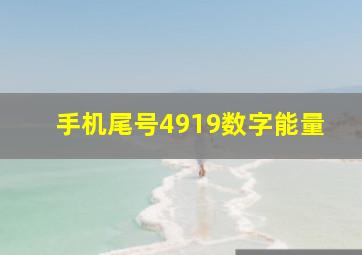 手机尾号4919数字能量