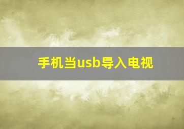 手机当usb导入电视