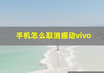 手机怎么取消振动vivo