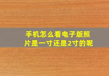 手机怎么看电子版照片是一寸还是2寸的呢