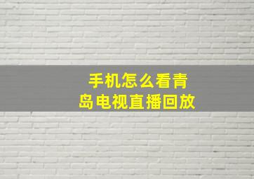 手机怎么看青岛电视直播回放