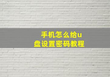 手机怎么给u盘设置密码教程