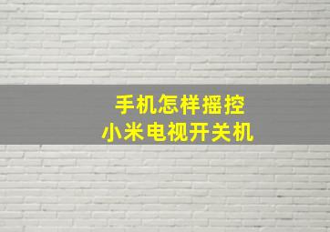 手机怎样摇控小米电视开关机