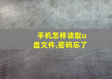 手机怎样读取u盘文件,密码忘了