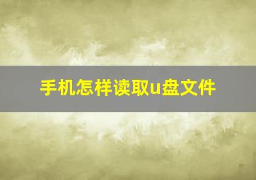 手机怎样读取u盘文件