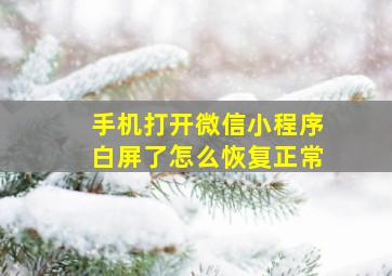 手机打开微信小程序白屏了怎么恢复正常